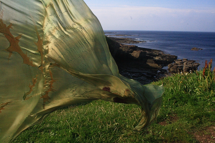 Landart at Orkney