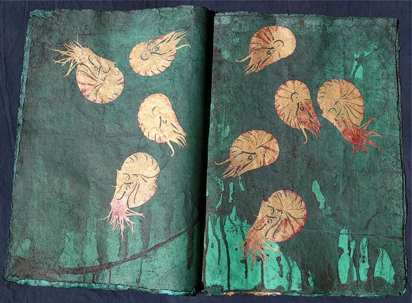 Kuenstlerbuch Artistbook Nautilus