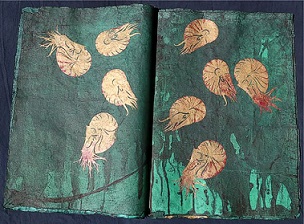 Kuenstlerbuch Artistbook Nautilus