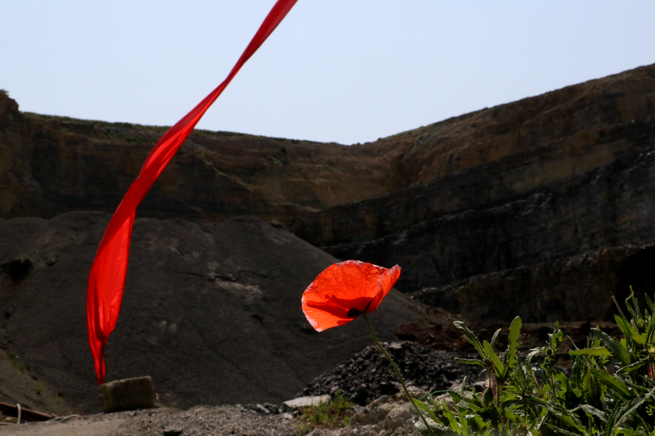 Environmental Art by Tanja Leonhardt