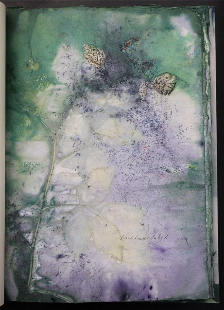 Nachtmeerfahrt Ecodyed artistbook by Leonhardt