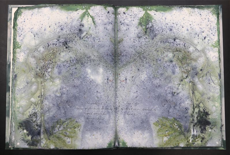 Nachtmeerfahrt Ecodyed artistbook by Leonhardt