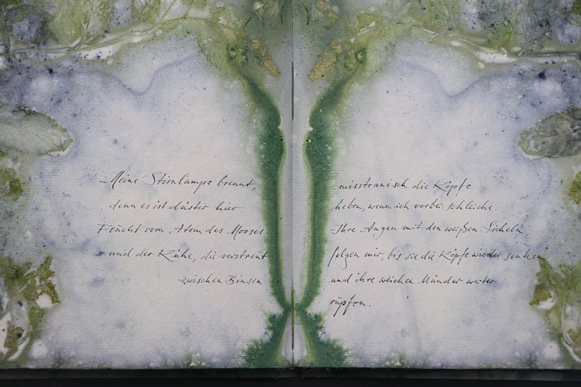 Nachtmeerfahrt Ecodyed artistbook by Leonhardt