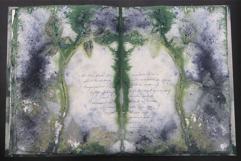 Nachtmeerfahrt Ecodyed artistbook by Leonhardt