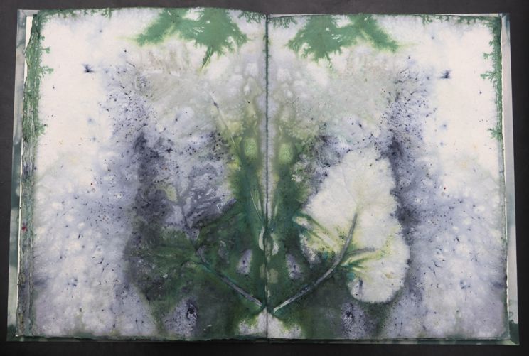 Nachtmeerfahrt Ecodyed artistbook by Leonhardt