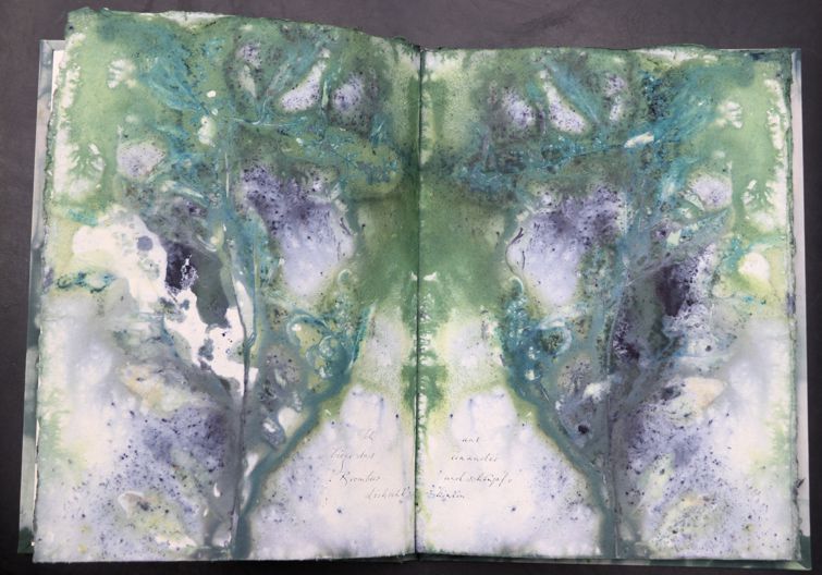 Nachtmeerfahrt Ecodyed artistbook by Leonhardt