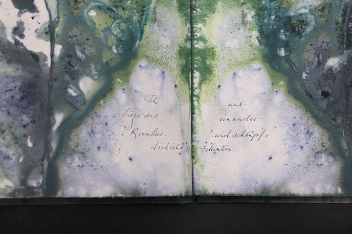 Nachtmeerfahrt Ecodyed artistbook by Leonhardt