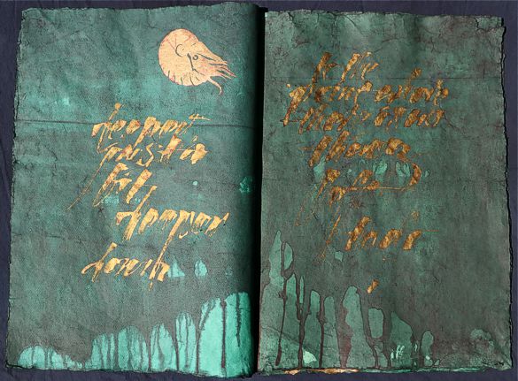 Kuenstlerbuch Artistbook Nautilus