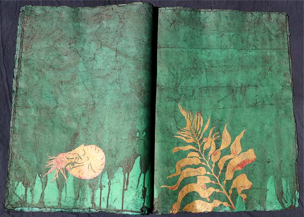 Kuenstlerbuch Artistbook Nautilus