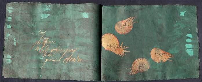 Knstlerbuch NAutilus Artistbook