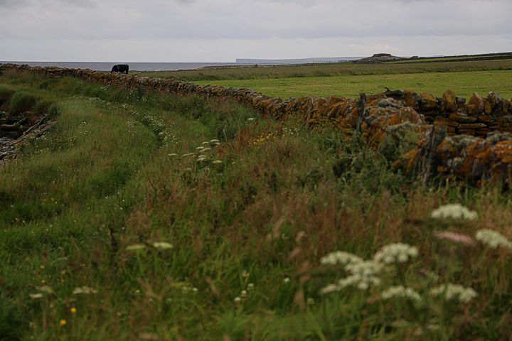 Neolithic tomb
