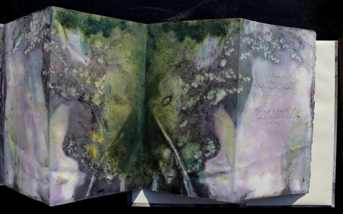 Eco dyed artistbook