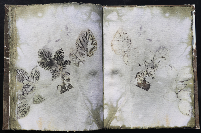 Orkney Leinen Artistbook