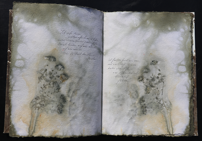 Orkney Leinen Artistbook