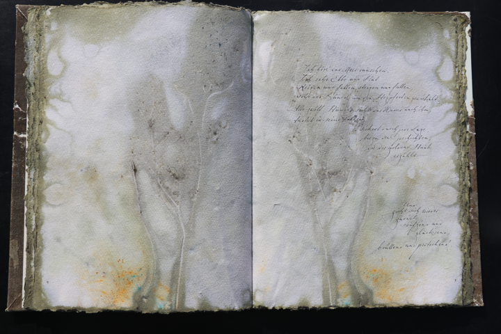 Orkney Leinen Artistbook