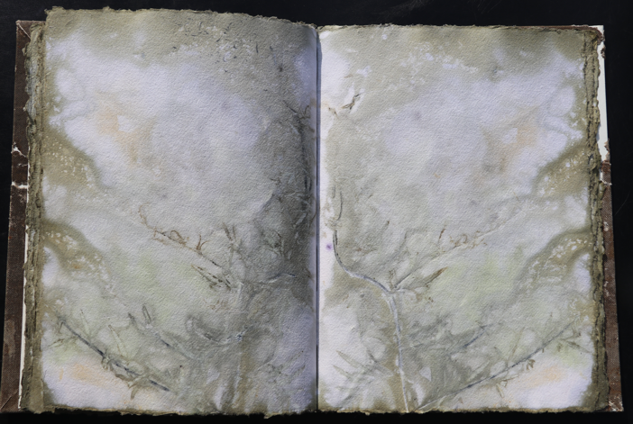 Orkney Leinen Artistbook