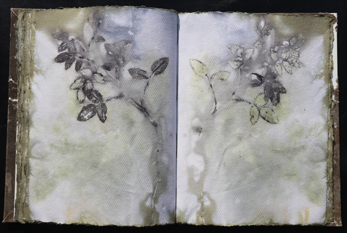 Orkney Leinen Artistbook