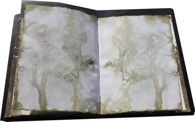 Orkney Leinen Artistbook