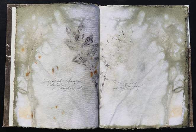 Orkney Leinen Artistbook