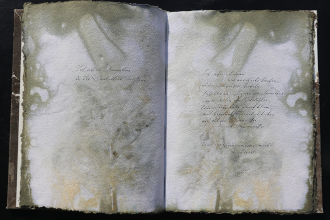 Orkney Leinen Artistbook