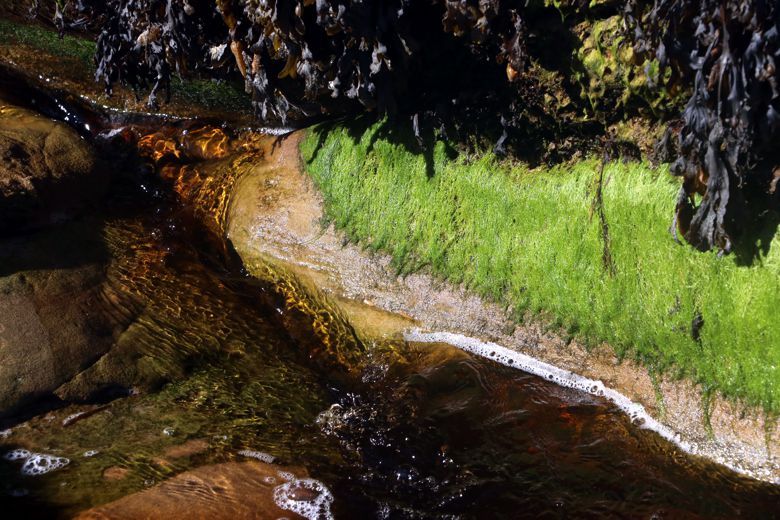  Landart by Tanja Leonhardt       