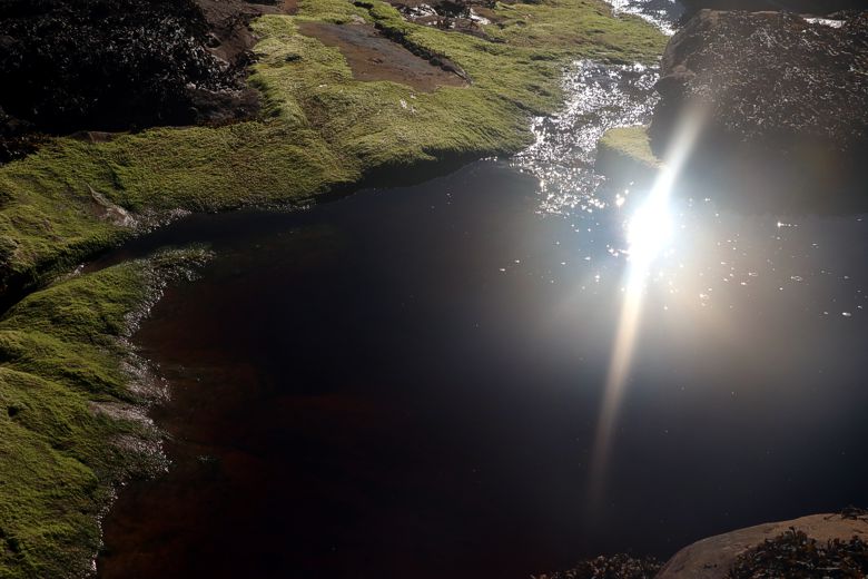 Landart by Tanja Leonhardt