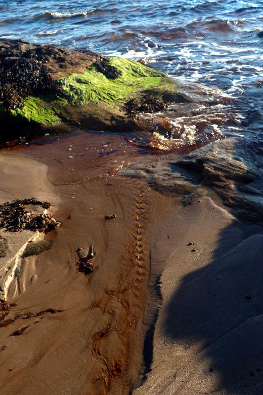  Landart by Tanja Leonhardt       