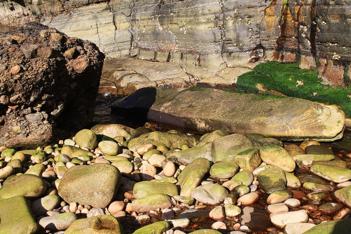 Environmental Art -  Landart