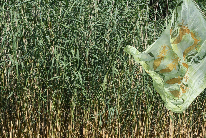 Rainfarn Landart