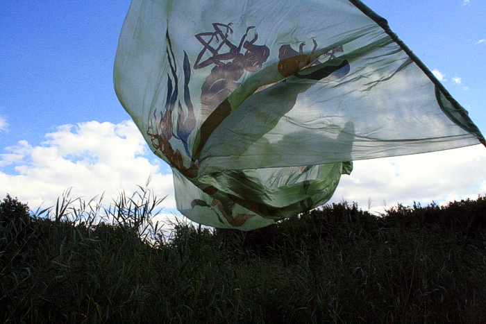 Rainfarn Landart