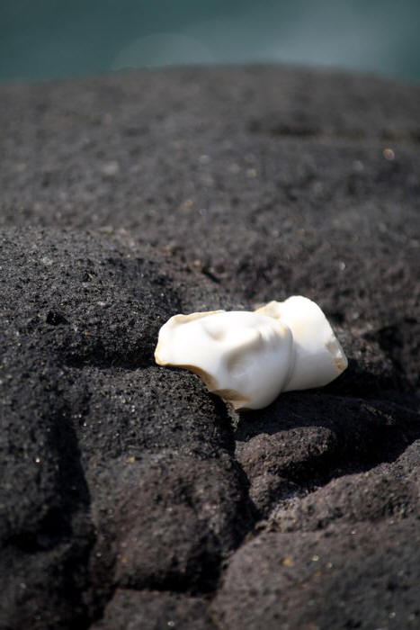 among Stromboli Rocks