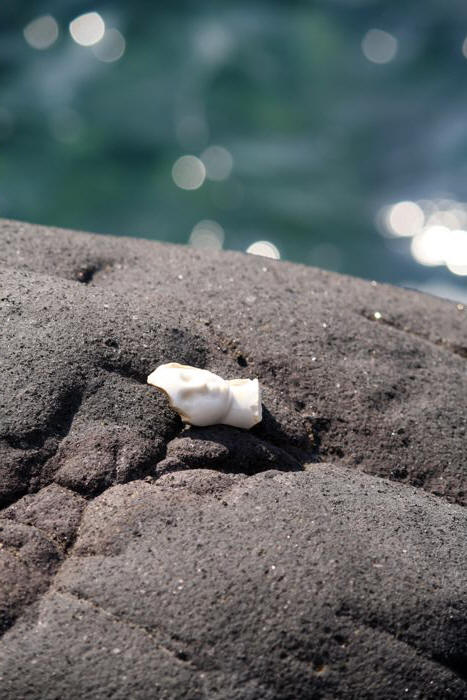 among Stromboli Rocks