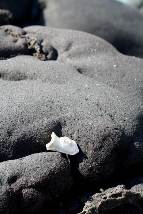 among Stromboli Rocks