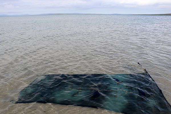 Landart at Stronsay