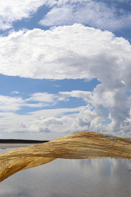 Landart by Tanja Leonhardt