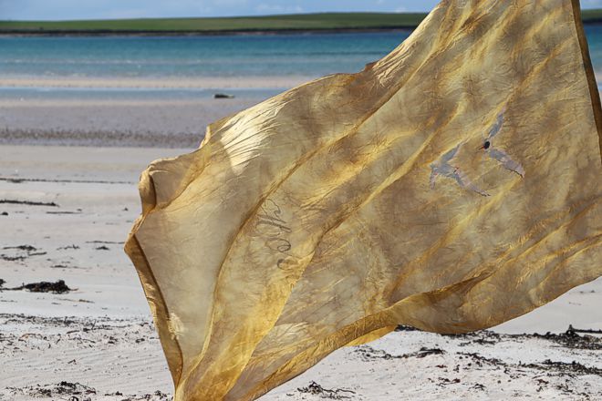 Landart by Tanja Leonhardt