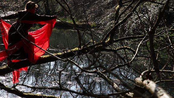 videopoetry natureperformance