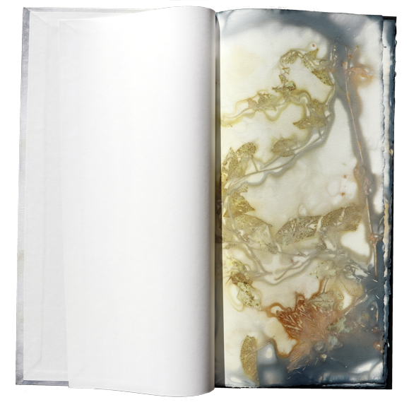 Kuenstlerbuch Artistbook