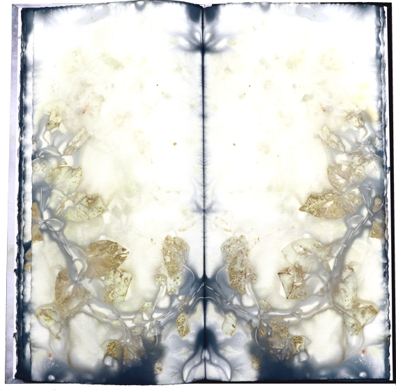 Kuenstlerbuch Artistbook