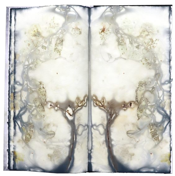 Kuenstlerbuch Artistbook