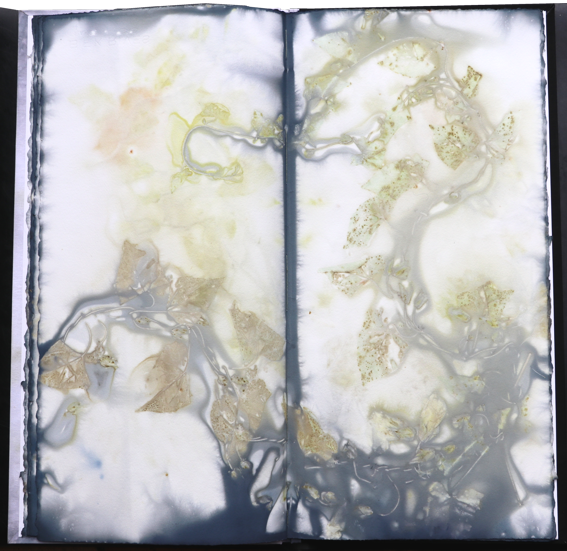 Kuenstlerbuch Artistbook