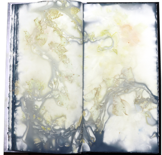 Kuenstlerbuch Artistbook