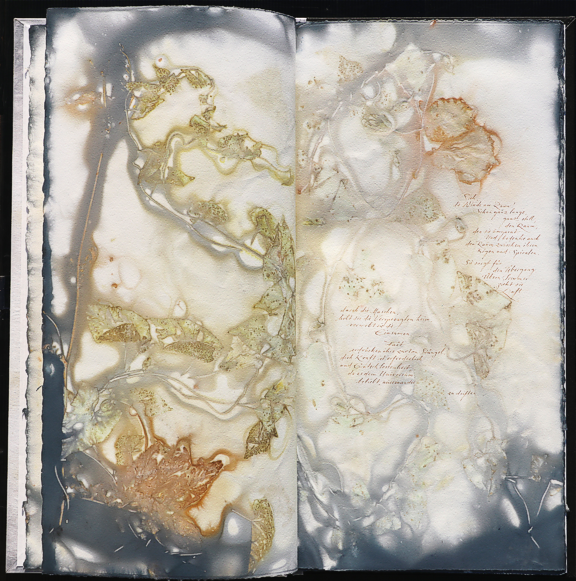 artistbook