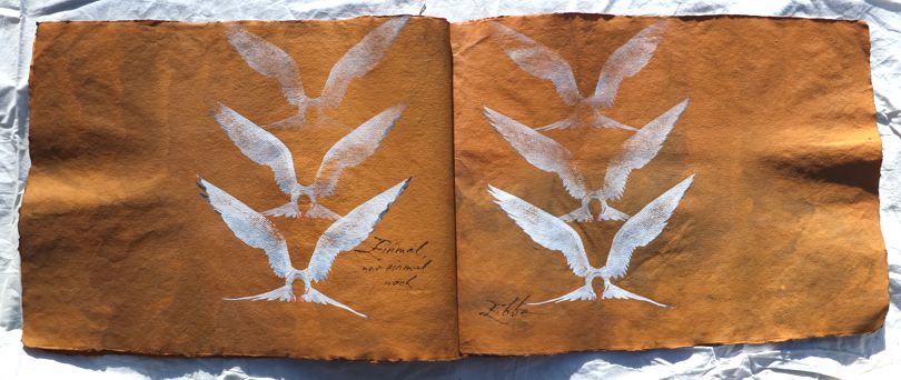 Arctic Tern Artistbook