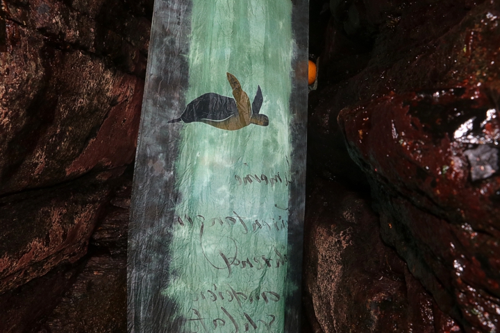 Cave Art by Leonhardt