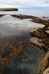 Landart  Natureart Leonhardt