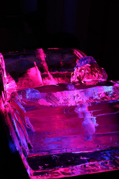 ice carving leonhardt