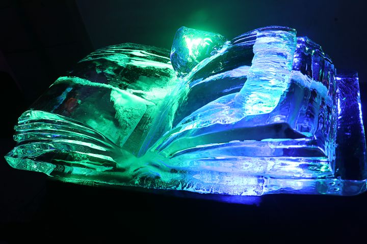 ice carving leonhardt