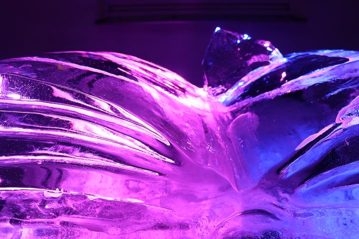 ice carving leonhardt