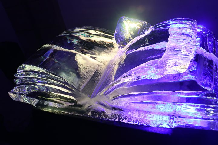 ice carving leonhardt